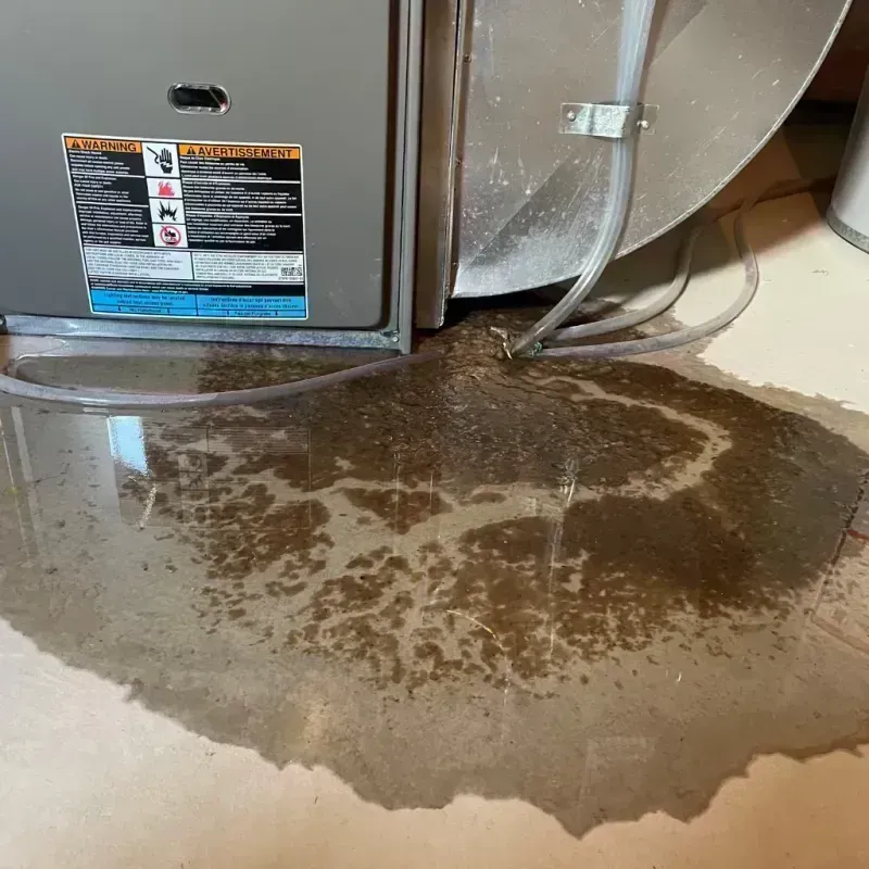 Appliance Leak Cleanup in Hoschton, GA